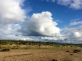 thumb_img_1106_1024